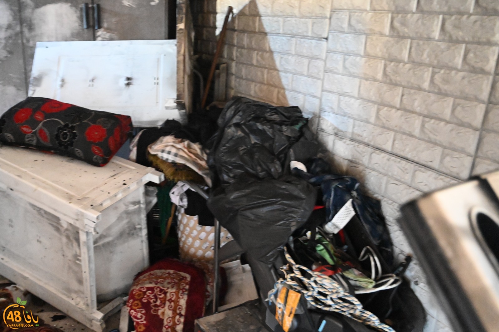 WhatsApp Image 2023-08-03 at 6.56.42 PM.jpg